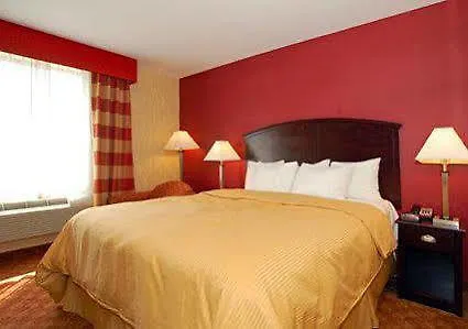 Lex View Inn At Jfk Airport New York 2*,